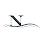 Northshore Apartments logo